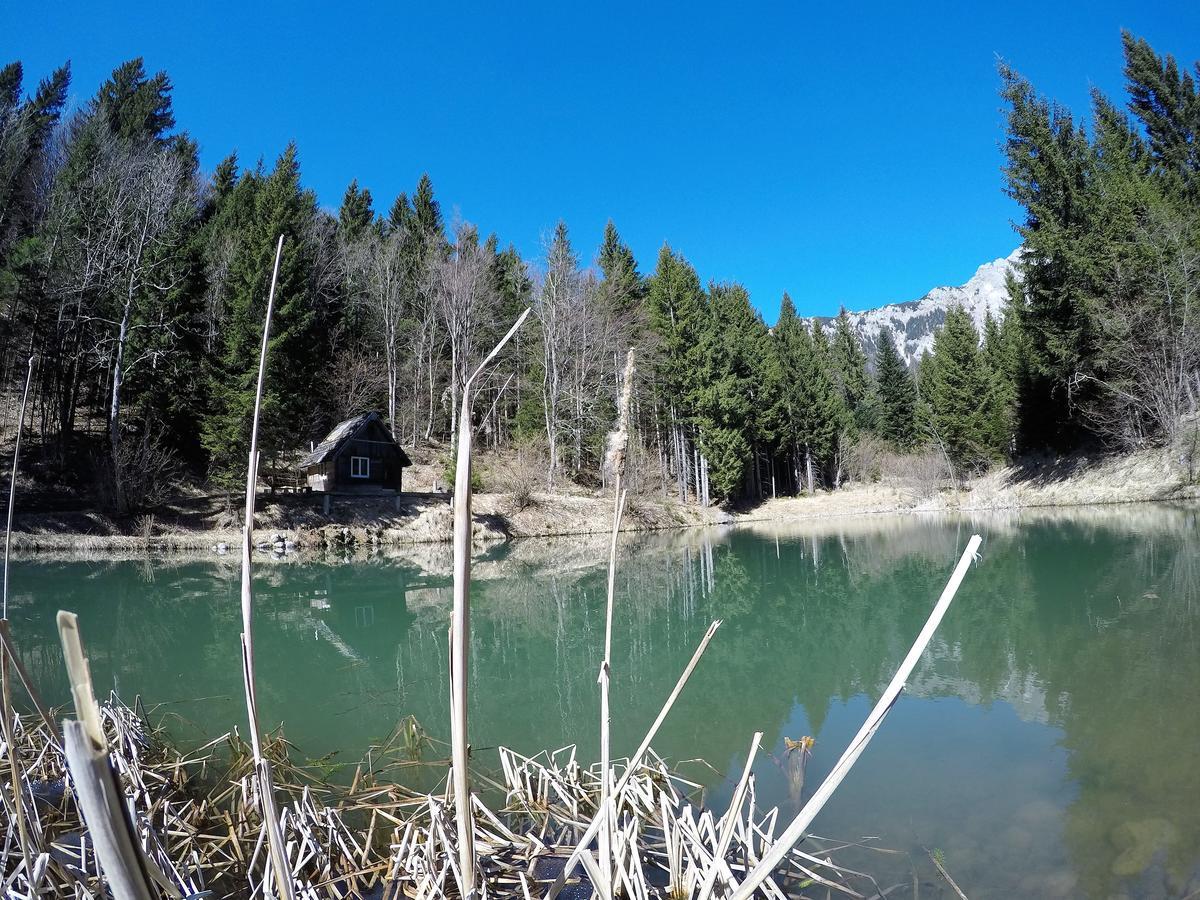TržičKarami Mountainhouse住宿加早餐旅馆 外观 照片